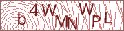 verify-code