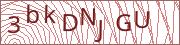 verify-code