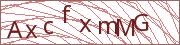 verify-code